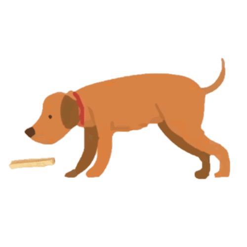 Illustration of a brown dog with a red collar sniffing the ground near a bone on a green background.