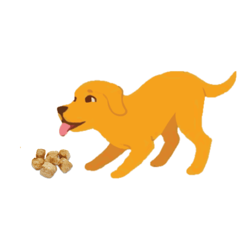 Illustration of a happy golden puppy walking towards a small pile of treats on a green background. This image is present on the 'Why Lekali Dog Chew' page.