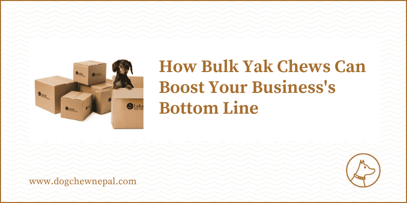 A small dog sitting on a box of yak chews with the text 'How Bulk Yak Chews Can Boost Your Business's Bottom Line' and the website address www.dogchewnepal.com, suggesting the financial benefits of purchasing yak chews in bulk for resale.